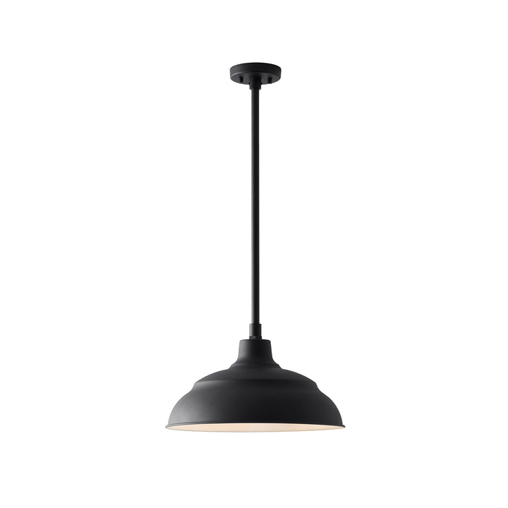 Capital Lighting Shade & Cord Canopy