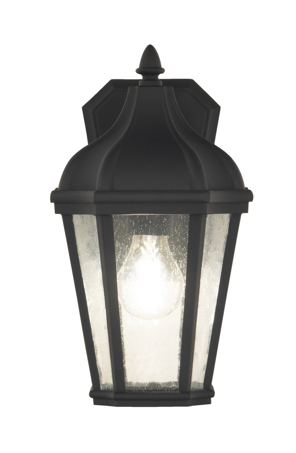 Briarwick One Light Outdoor Wall Mount in Textured Black