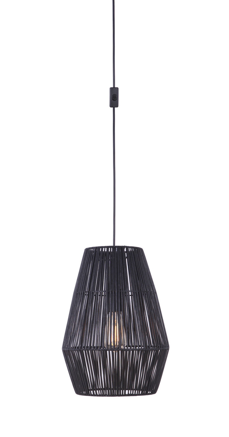 Swag Pendants One Light Pendant in Flat Black