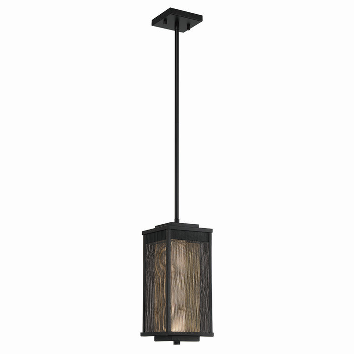 Eurofase LED Outdoor Pendant