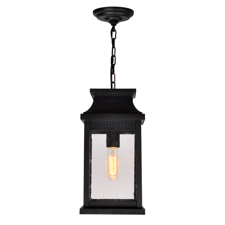 CWI Lighting One Light Outdoor Pendant