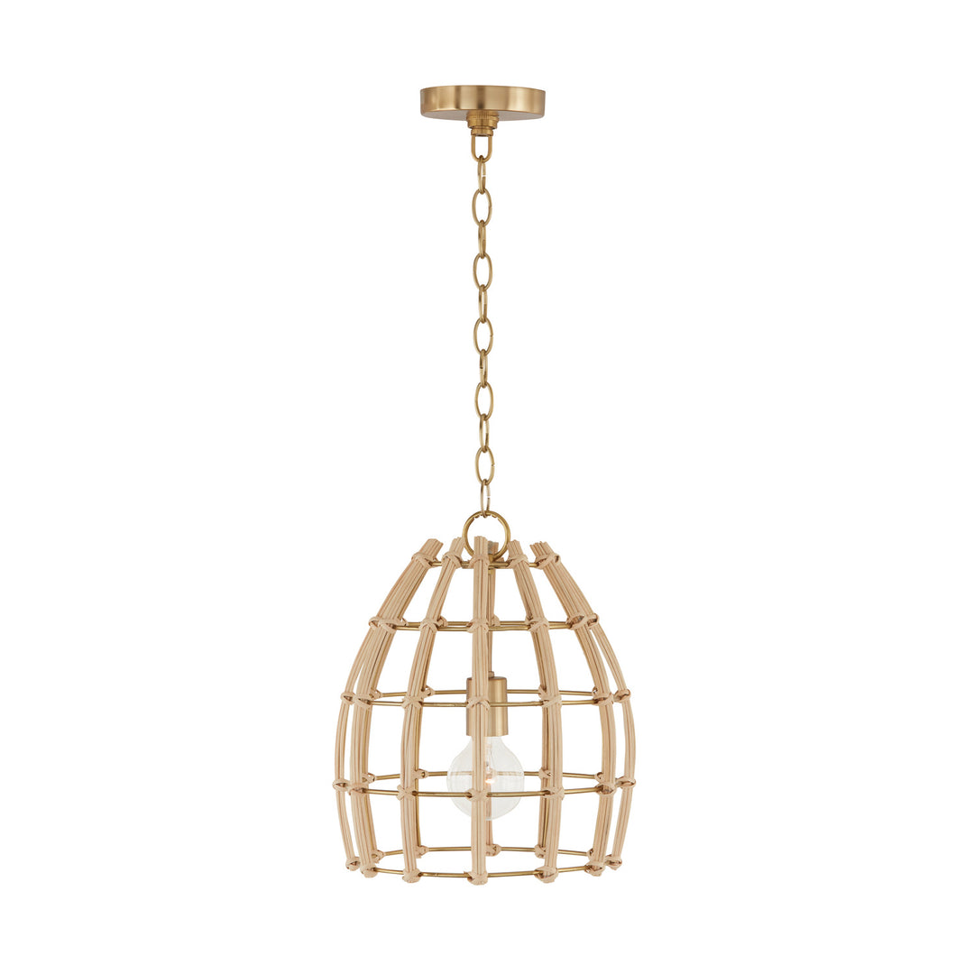 Capital Lighting One Light Pendant