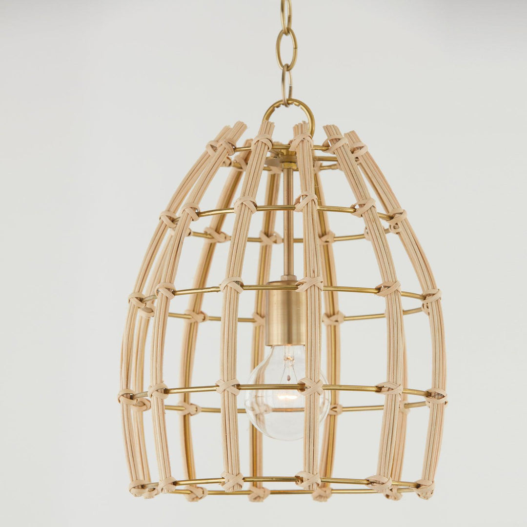 Capital Lighting One Light Pendant