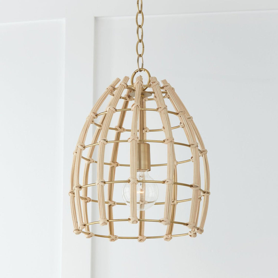 Capital Lighting One Light Pendant