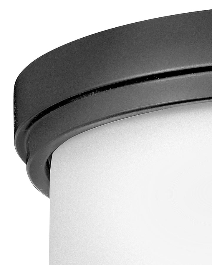 Montrose LED Flush Mount in Black