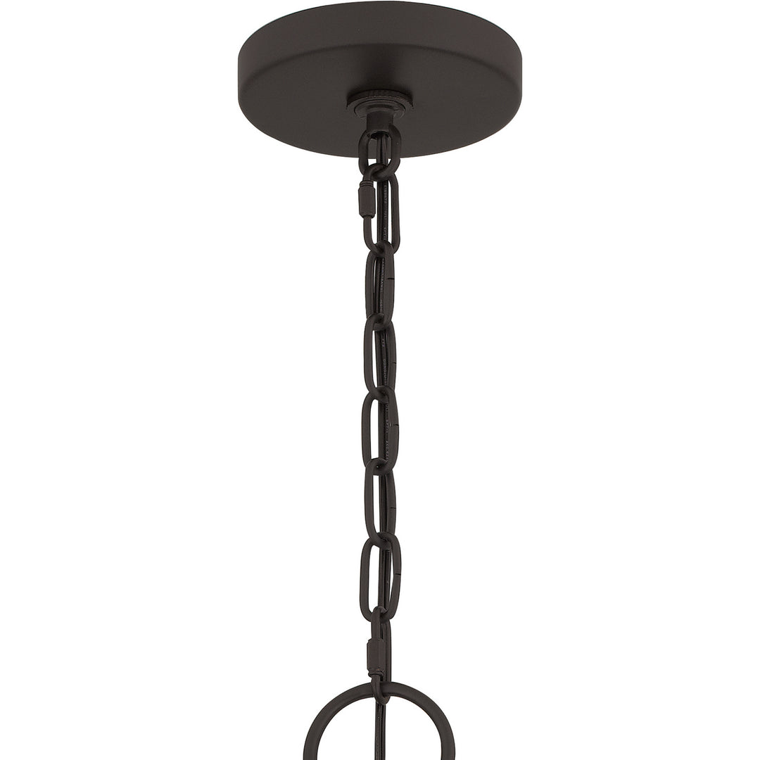 Quoizel Four Light Pendant