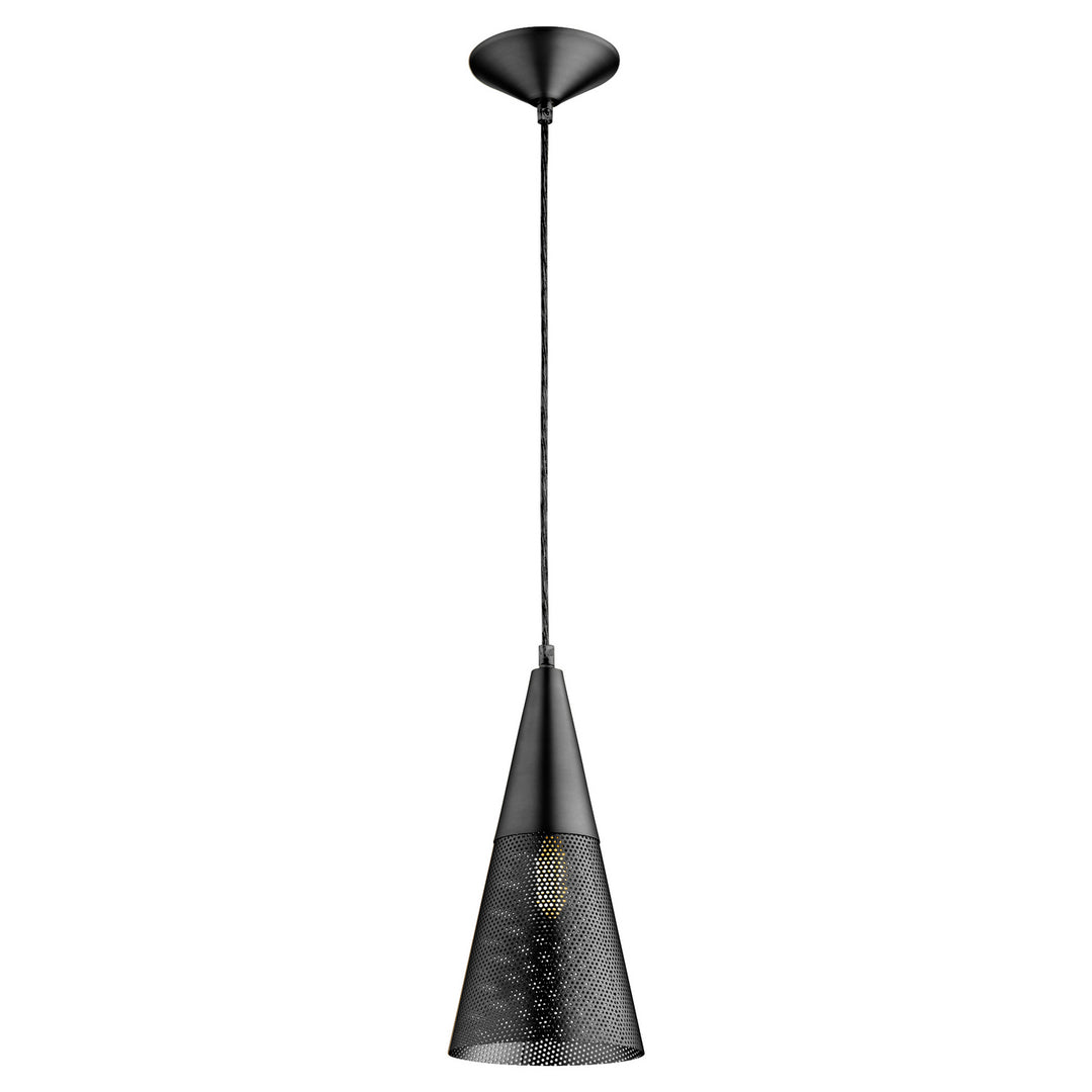 Quorum One Light Pendant