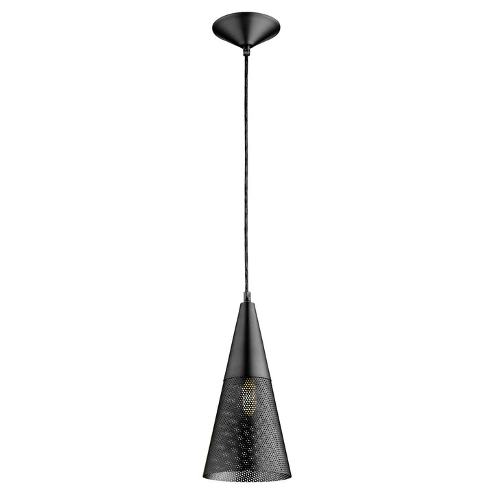 Quorum One Light Pendant