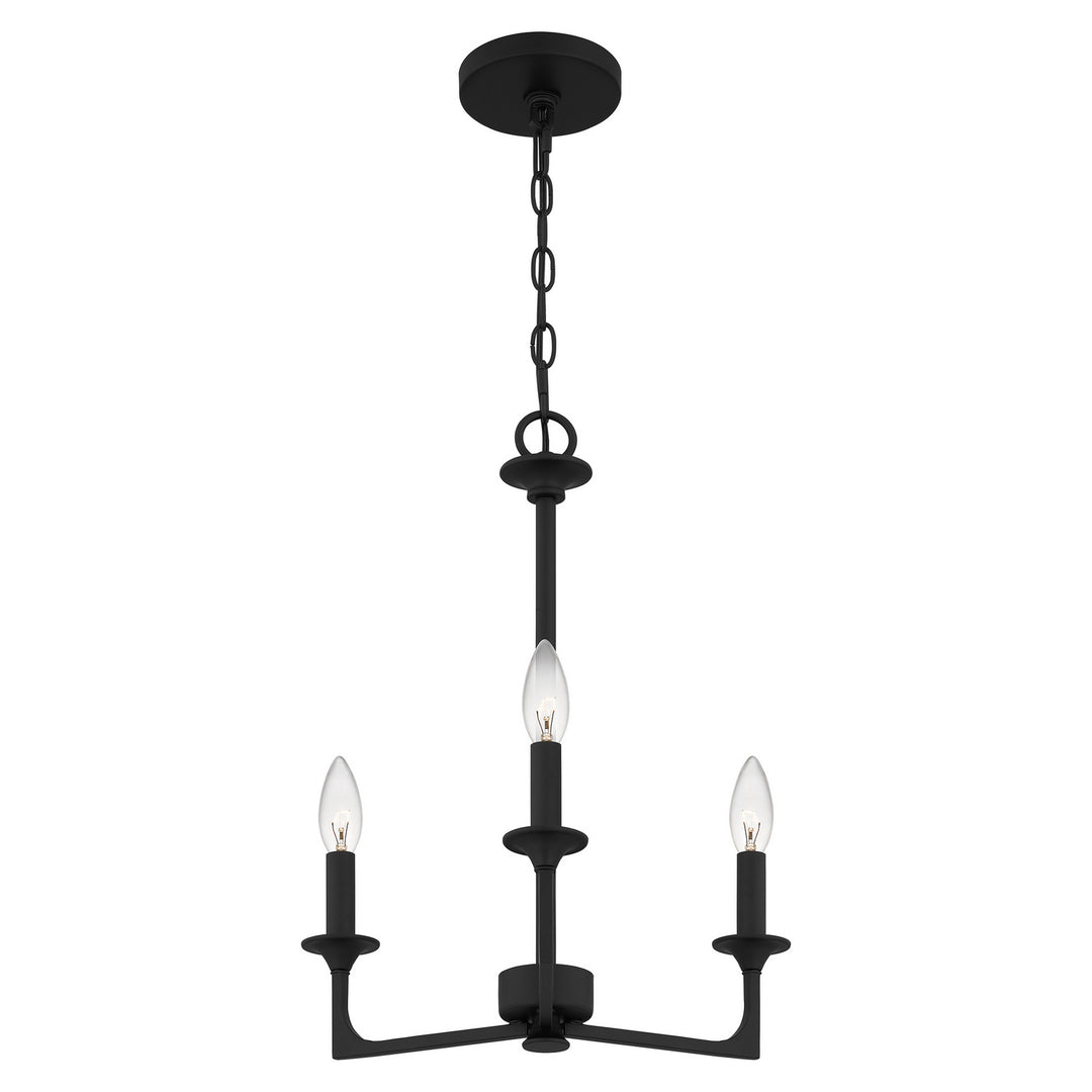 Quoizel Three Light Chandelier