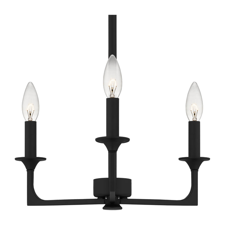 Quoizel Three Light Chandelier