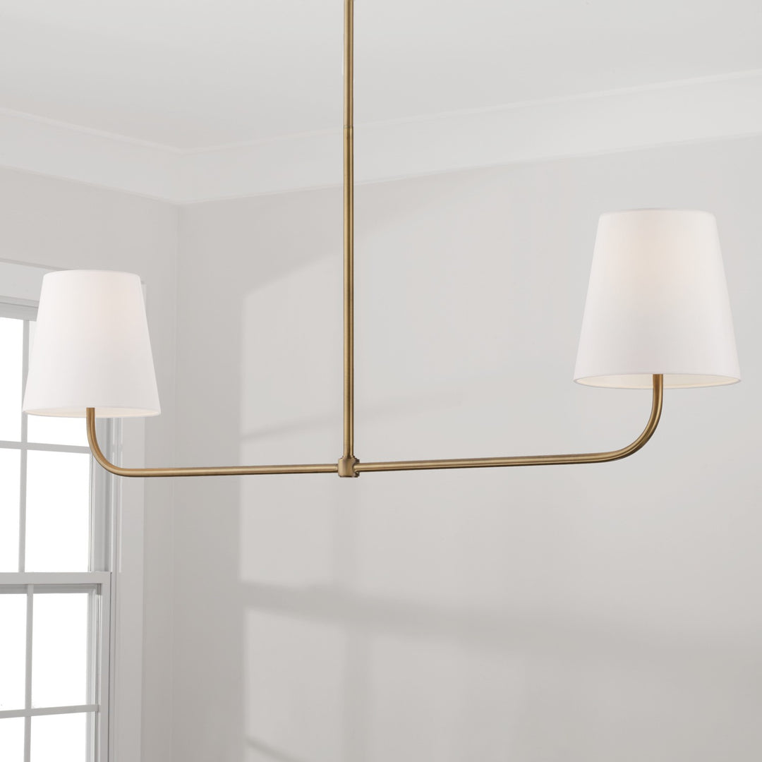 Capital Lighting Two Light Island Pendant