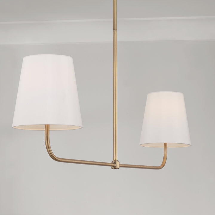 Capital Lighting Two Light Island Pendant