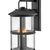 Lakehouse LED Wall Mount in Black