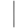 Landscape Stems in Black