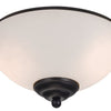LED Fan Light Kit in Matte Black