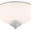 LED Fan Light Kit in Paitned Brushed Nickel