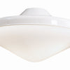 LED Light Kit for Ceiling Fan in White