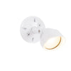 LED Outdoor Flood in White