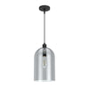 Lochemeade One Light Pendant in Natural Black Iron