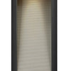 Luna LED Wall Mount in Satin Black