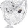 Matthews Fan Company 19"Wall Fan
