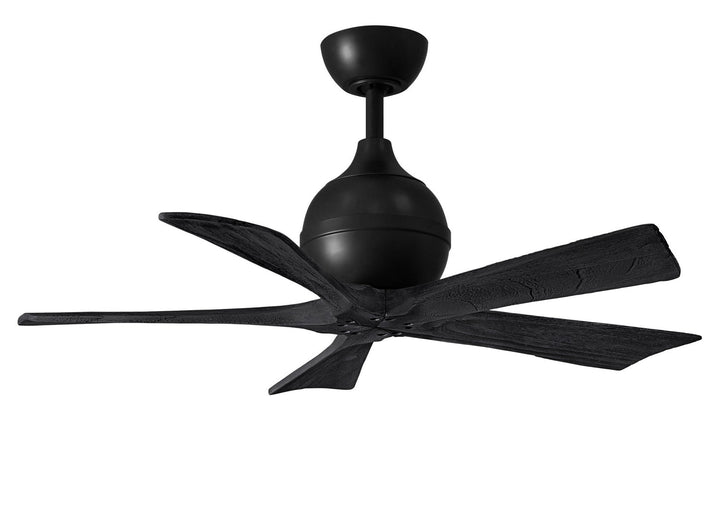 Matthews Fan Company Irene 5 42" Indoor/Outdoor DC Ceiling Fan with Remote and Wall Control