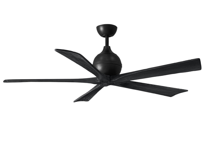 Matthews Fan Company Irene 5 60" Indoor/Outdoor DC Ceiling Fan with Remote and Wall Control