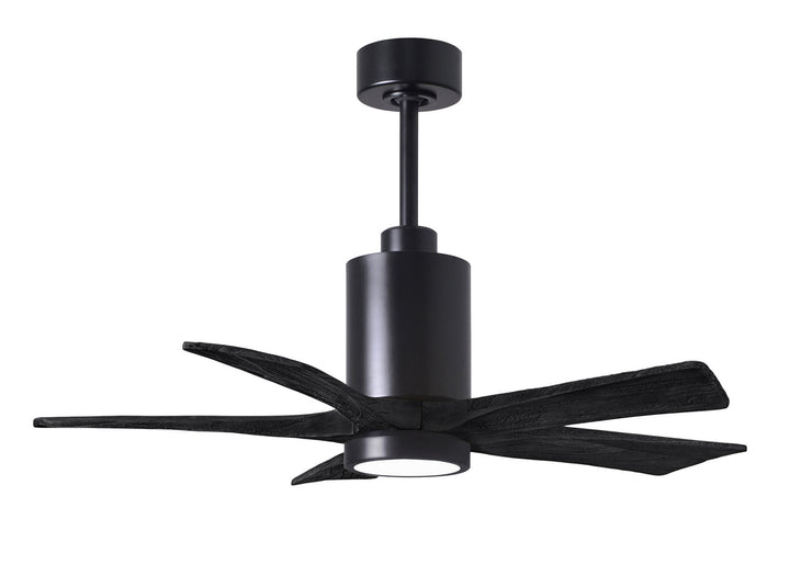 Matthews Fan Company Patricia 5 42" Indoor/Outdoor DC LED Ceiling Fan with Remote and Wall Control