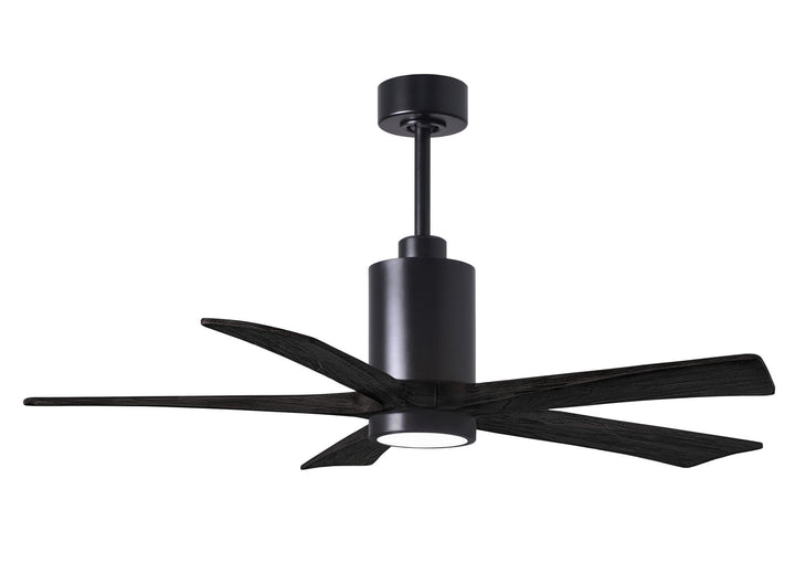 Matthews Fan Company Patricia 5 52" Indoor/Outdoor DC LED Ceiling fan with Remote and Wall Control