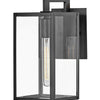 Max LED Wall Mount in Black