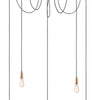 Maxim Five Light Pendant