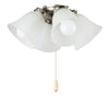 Maxim LED Ceiling Fan Light Kit