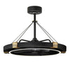Maxim LED Fandelight