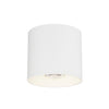 Maxim LED Flush Mount