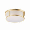 Maxim LED Flush Mount