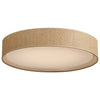 Maxim LED Flush Mount