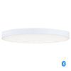 Maxim LED Flush Mount