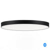 Maxim LED Flush Mount