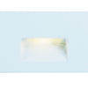 Maxim LED Step Light