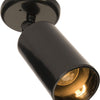 Maxim One Light Flush Mount