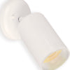 Maxim One Light Flush Mount