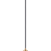 Maxim One Light Mini Pendant