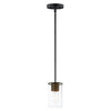 Maxim One Light Mini Pendant
