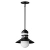 Maxim One Light Outdoor Pendant