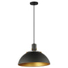 Maxim One Light Pendant