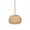 Maxim One Light Pendant