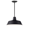 Maxim One Light Pendant