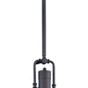 Maxim One Light Pendant