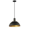 Maxim One Light Pendant