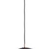Maxim One Light Pendant